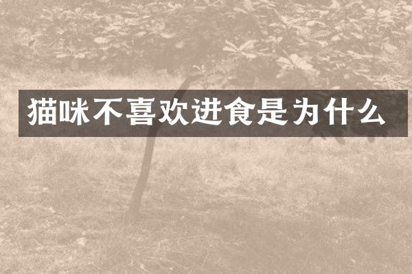 猫咪不喜欢进食是为什么