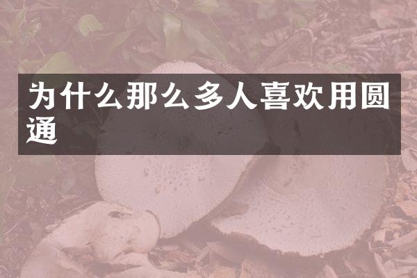 为什么那么多人喜欢用圆通