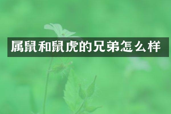 属鼠和鼠虎的兄弟怎么样