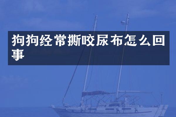 狗狗经常撕咬尿布怎么回事