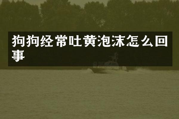 狗狗经常吐黄泡沫怎么回事