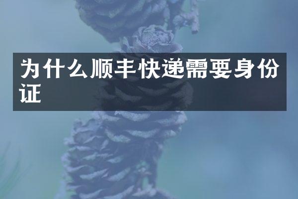 为什么顺丰快递需要