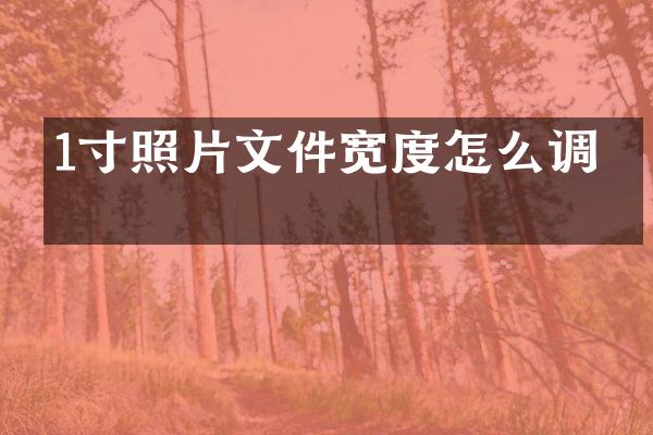 1寸照片文件宽度怎么调整