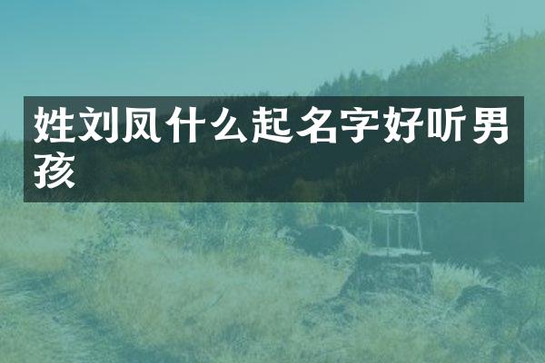 姓刘凤什么起名字好听男孩