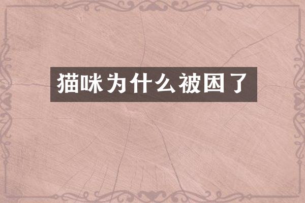 猫咪为什么被困了