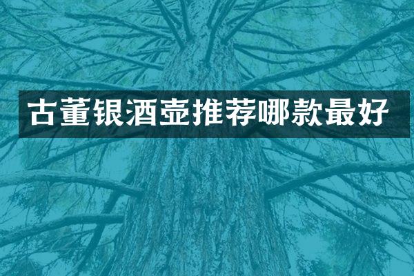 古董银酒壶推荐哪款最好