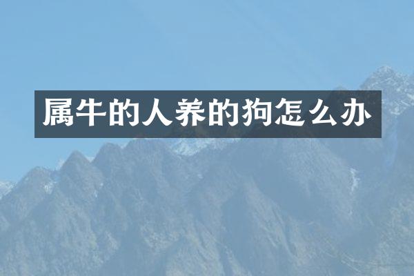 属牛的人养的狗怎么办
