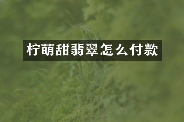 柠萌甜翡翠怎么付款