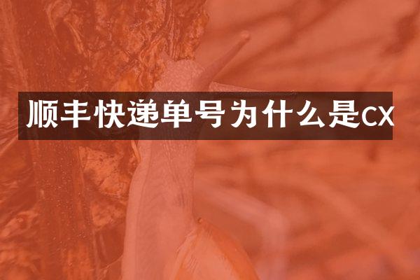 顺丰快递单号为什么是cx