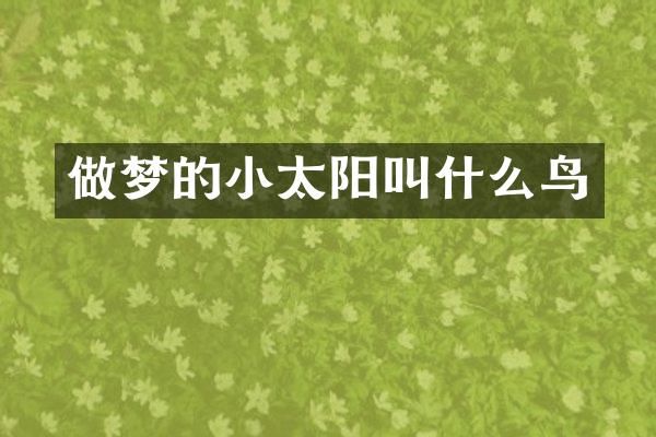 做梦的小太阳叫什么鸟