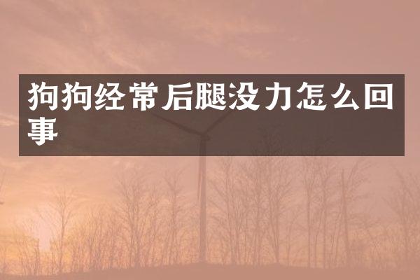 狗狗经常后腿没力怎么回事