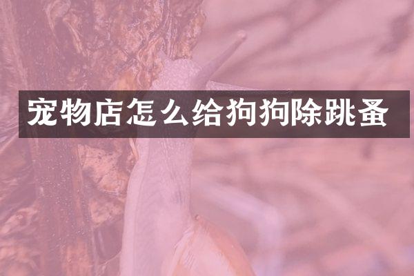 宠物店怎么给狗狗除跳蚤