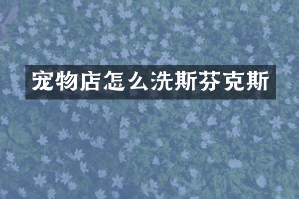 宠物店怎么洗斯芬克斯
