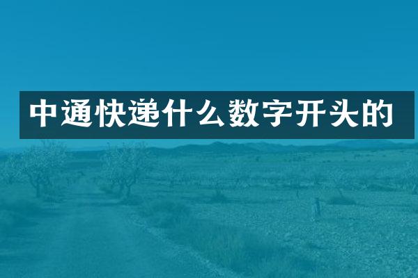 中通快递什么数字开头的