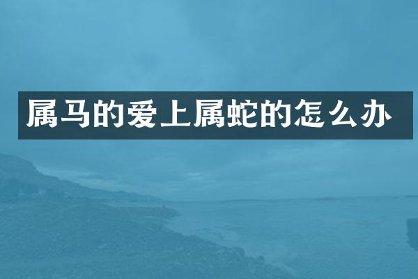 属马的爱上属蛇的怎么办