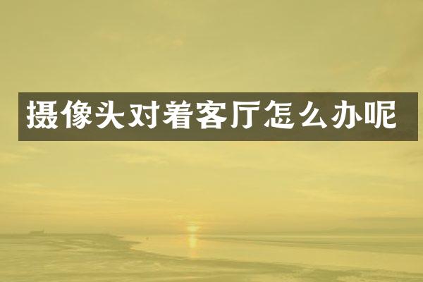 摄像头对着客厅怎么办呢