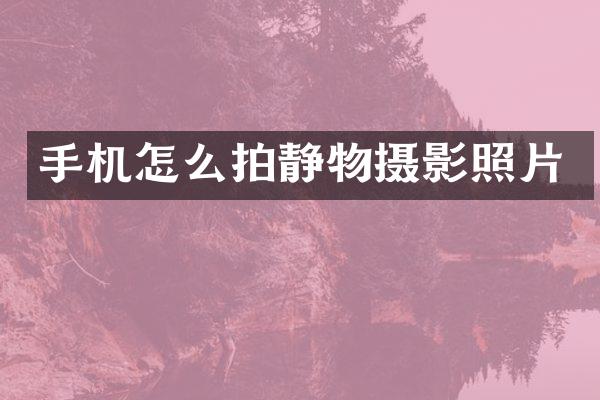 手机怎么拍静物摄影照片