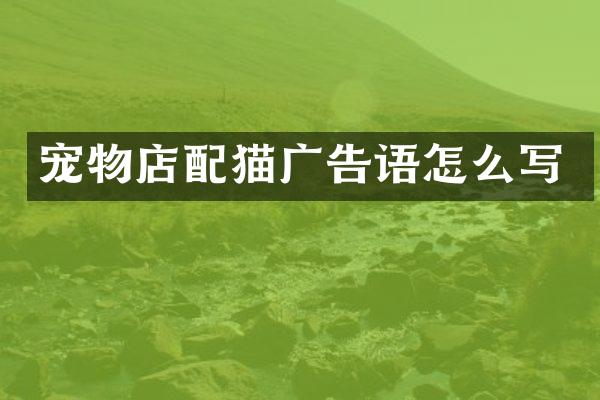 宠物店配猫广告语怎么写