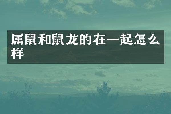 属鼠和鼠龙的在一起怎么样