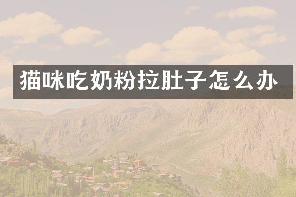 猫咪吃奶粉拉肚子怎么办