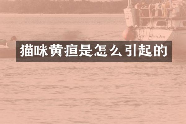猫咪黄疸是怎么引起的
