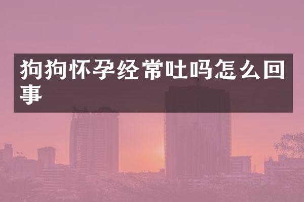 狗狗怀孕经常吐吗怎么回事