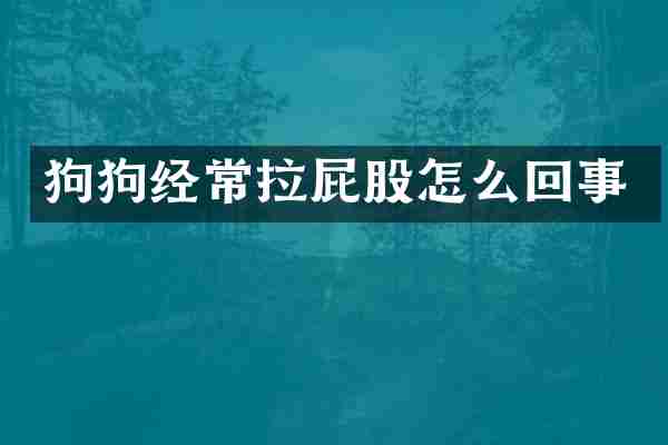 狗狗经常拉屁股怎么回事