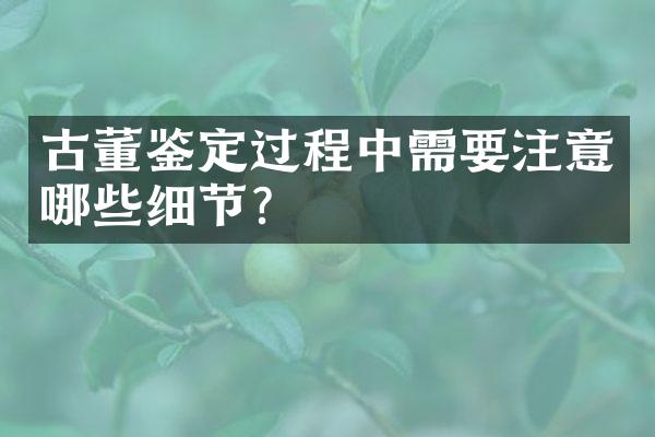 古董鉴定过程中需要注意哪些细节？