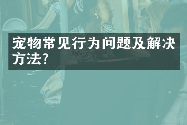 宠物常见行为问题及解决方法？