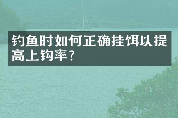 钓鱼时如何正确挂饵以提高上钩率？