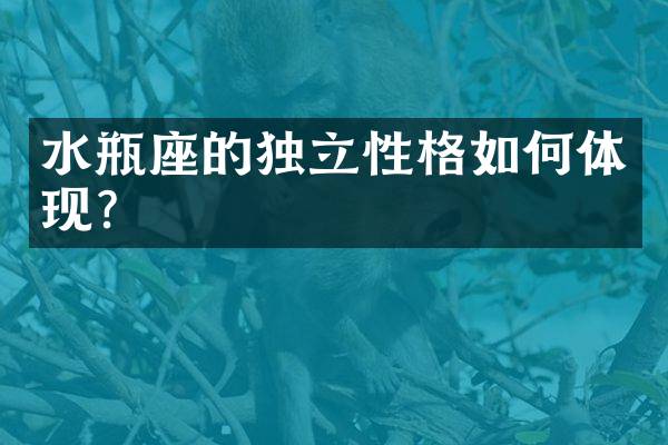 水瓶座的独立性格如何体现？