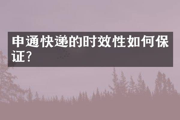 申通快递的时效性如何保证？