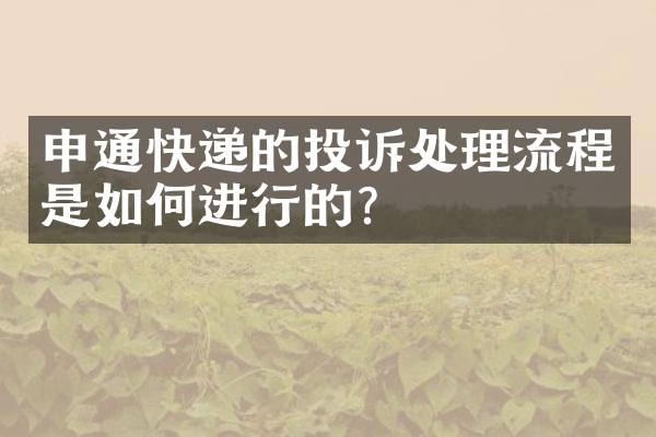 申通快递的投诉处理流程是如何进行的？