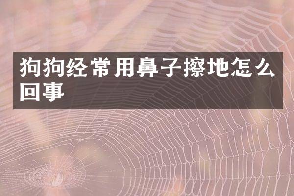狗狗经常用鼻子擦地怎么回事