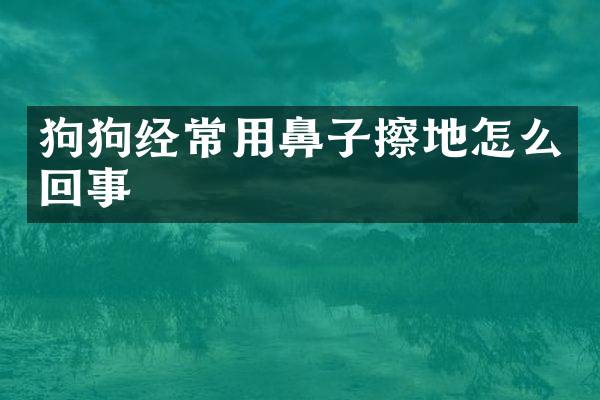 狗狗经常用鼻子擦地怎么回事