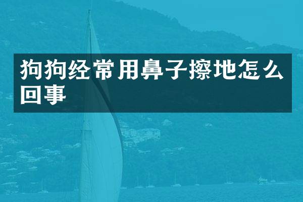 狗狗经常用鼻子擦地怎么回事