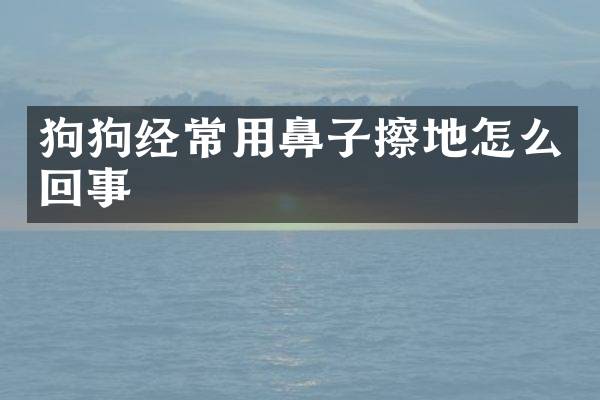 狗狗经常用鼻子擦地怎么回事