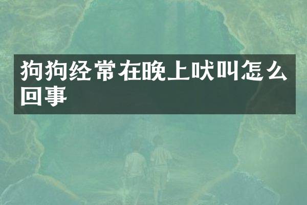 狗狗经常在晚上吠叫怎么回事