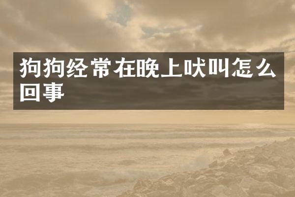 狗狗经常在晚上吠叫怎么回事