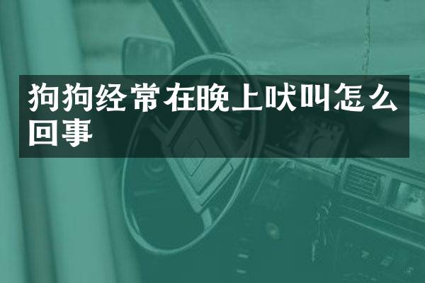 狗狗经常在晚上吠叫怎么回事