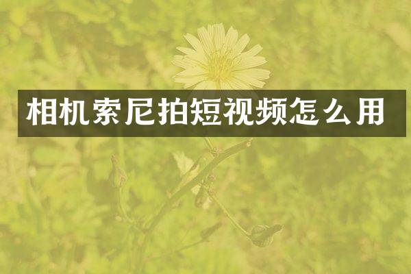 相机拍短视频怎么用