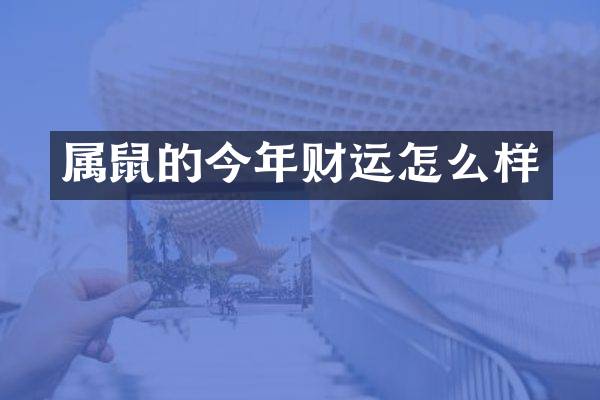 属鼠的今年财运怎么样