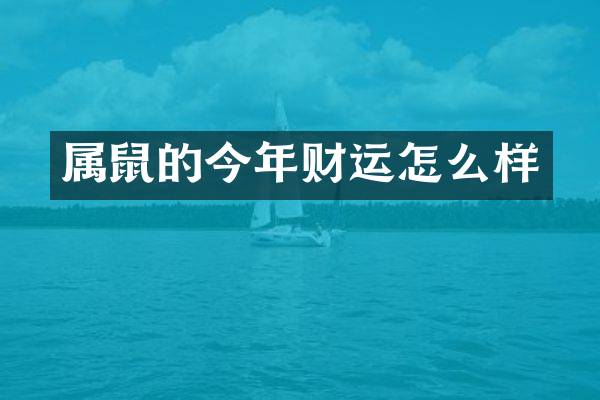 属鼠的今年财运怎么样