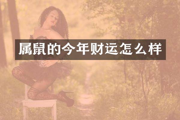 属鼠的今年财运怎么样