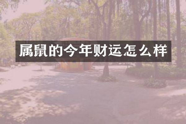属鼠的今年财运怎么样