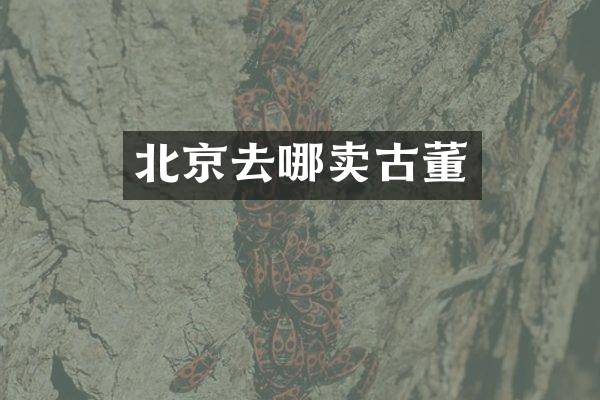 北京去哪卖古董