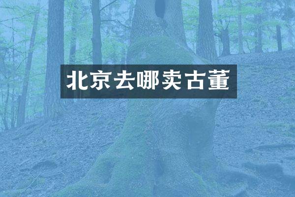 北京去哪卖古董