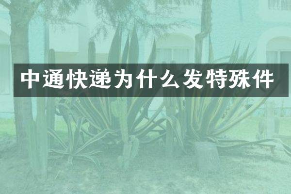 中通快递为什么发特殊件