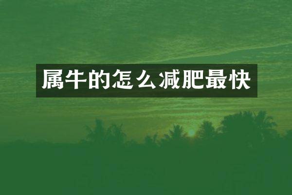 属牛的怎么减肥最快
