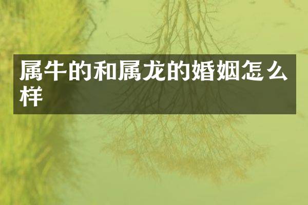 属牛的和属龙的婚姻怎么样